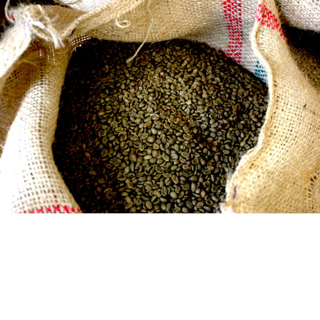 4c2b9a04af6b4438a5bfea59b1215f96