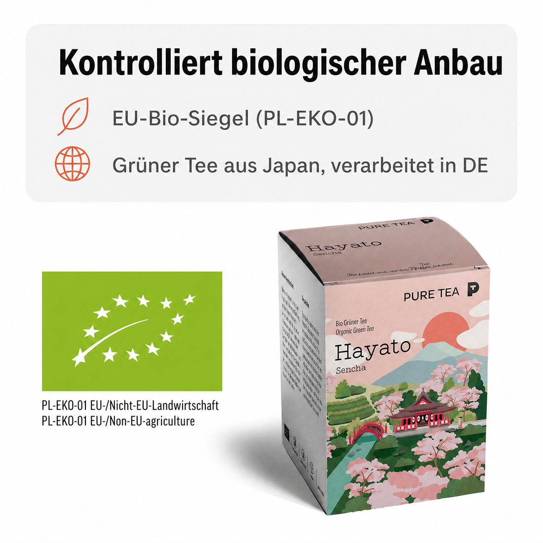 Pure Tea Grüner Tee Sencha Hayato, japanischer Bio Grüntee im Kissenbeutel, 15 Beutel à 3 g, Premiumqualität, Dispenserbox, frisch-duftiges Aroma