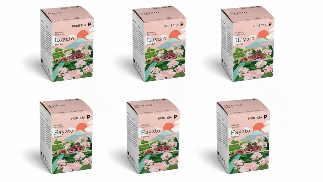 6 x Pure Tea Grüner Tee Sencha Hayato, japanischer Grüntee im Kissenbeutel, 15 Beutel à 3 g, Premiumqualität, Dispenserbox, frisch-duftiges Aroma