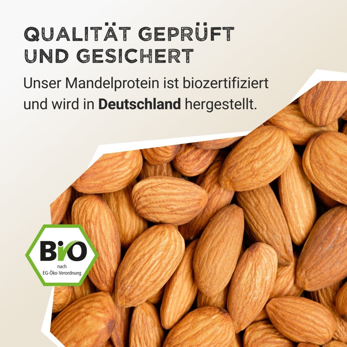 Almond Protein - Cacao