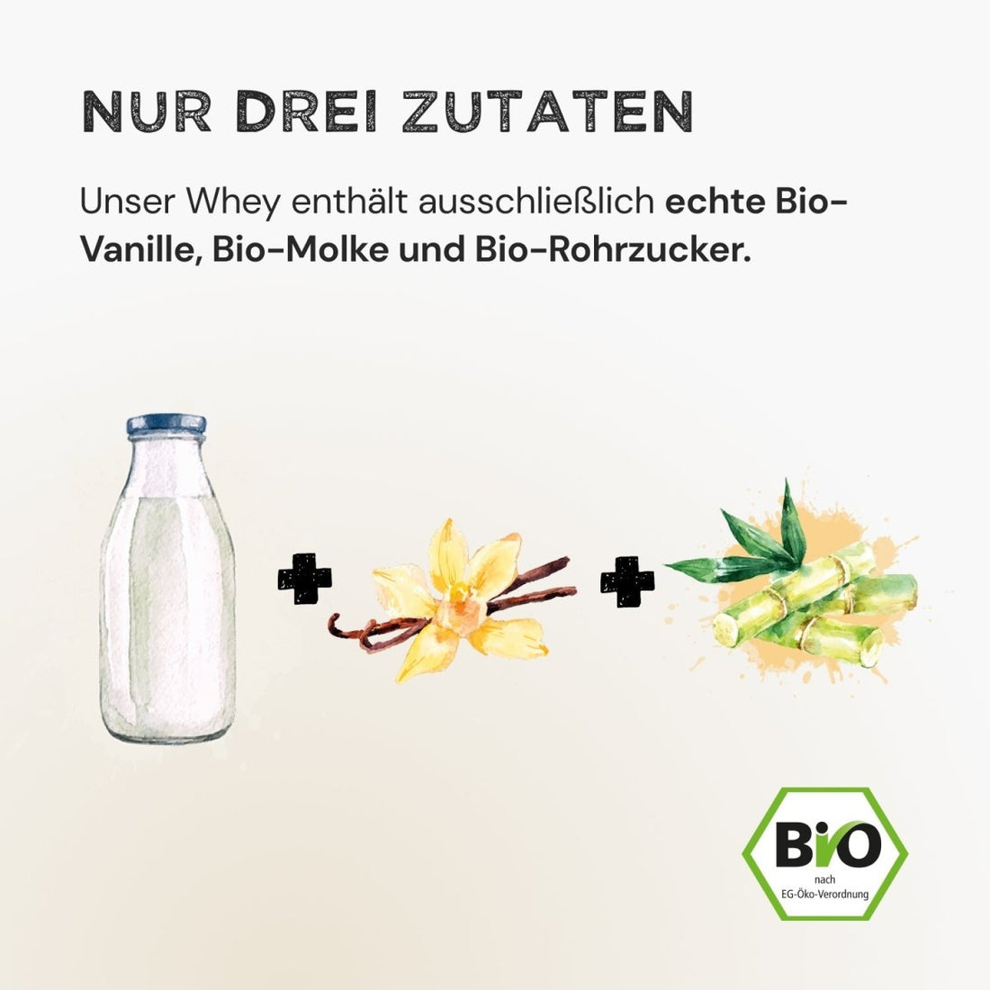 Whey Protein - Vanilla